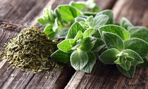 6 lợi ích sức khỏe của lá oregano đã được khoa học chứng minh