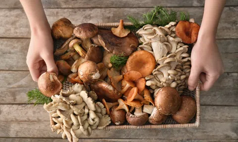 Lợi ích của nấm đối với sức khỏe