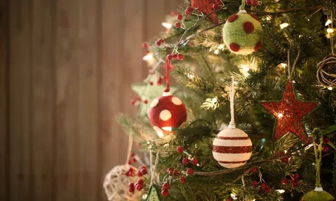 Tìm hiểu về nguồn gốc của cây thông Noel trong lễ Giáng sinh