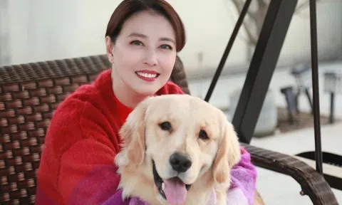 Showbiz Trung bàng hoàng trước tin mỹ nhân 'Ỷ Thiên Đồ Long Ký' Châu Hải My qua đời