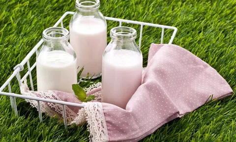8 công dụng kỳ diệu của việc uống sữa mỗi ngày đối với sức khoẻ