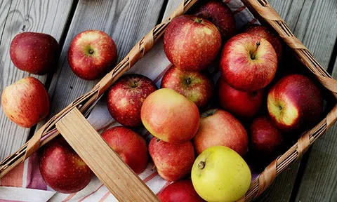 Ăn táo vào ban đêm có hại không?