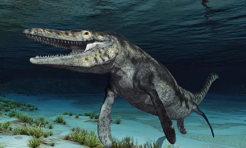 'Rồng xanh' 72 triệu năm tuổi được khai quật ở Nhật Bản khiến giới khoa học bùng nổ