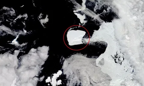 Tảng băng lớn nhất thế giới gấp 3 lần thành phố New York tách khỏi Nam Cực sau gần 40 năm mắc kẹt