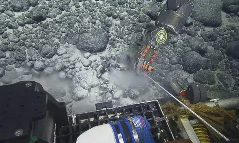 Răng loài quái vật biển khổng lồ cổ đại được tìm thấy ở độ sâu hơn 3000 mét dưới bề mặt đại dương