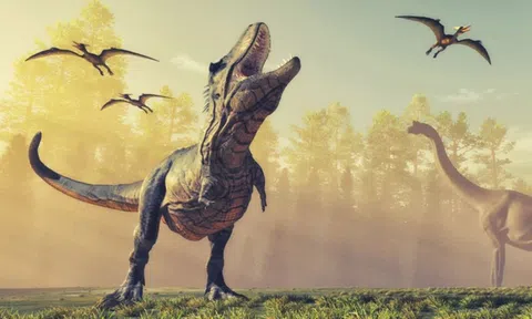 Tìm thấy hộp sọ loài săn mồi mới đỉnh cao hơn cả khủng long bạo chúa T. rex