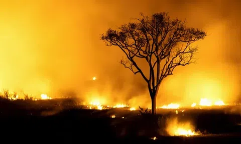 Đồng hồ Ngày tận thế dao động ở mức 90 giây đến nửa đêm trong năm thứ 2 liên tiếp