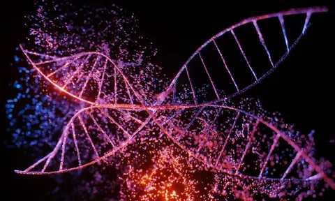 'Hiệu ứng cánh bướm' có thể giải thích nguyên nhân di truyền của bệnh tự kỷ?