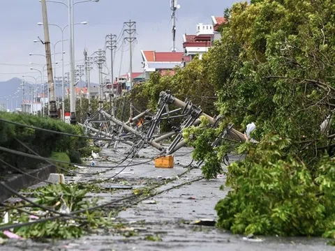 Công điện của Thủ tướng về việc chủ động ứng phó áp thấp nhiệt đới có khả năng mạnh lên thành bão