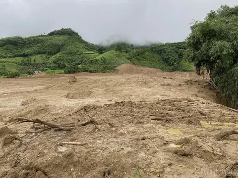 Thoảng nghĩ sau bão Yagi