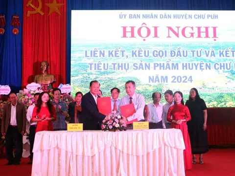 Chư Pưh, Gia Lai: Liên kết, hợp tác đầu tư với tổng vốn đăng ký trên 10.800 tỷ đồng