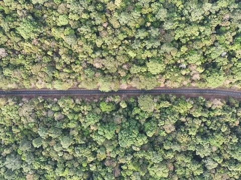 Đồng Nai: Nghiên cứu kiến nghị mở đường qua cầu Mã Đà