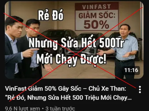 Phó Chủ tịch kiêm TGĐ Vingroup: 'Đấu tranh tới cùng với tin giả vì trách nhiệm xã hội'