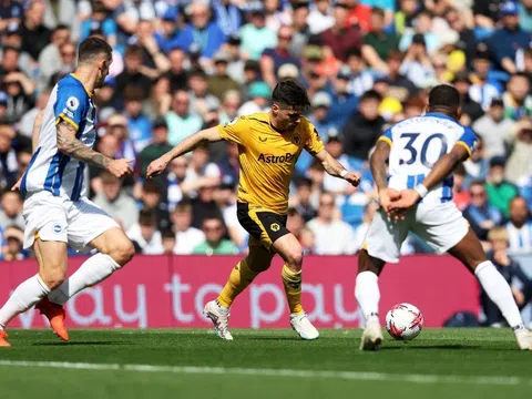 Nhận định, dự đoán Wolves vs Brighton, 21h00 ngày 19/8/2023