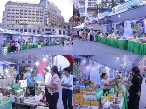 Phú Thọ: Nông sản Đất Tổ – Bài toán kinh tế từ không gian trưng bày Tam Đảo