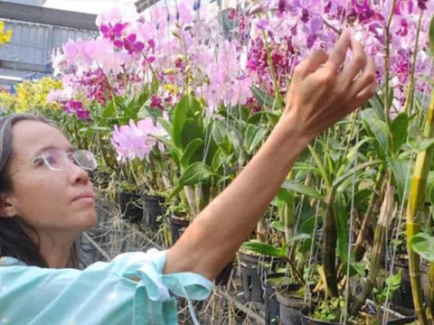 Kỹ sư Liêu Thị Kim Phượng được công bố vào top 100 Nông dân Việt Nam xuất sắc năm 2023