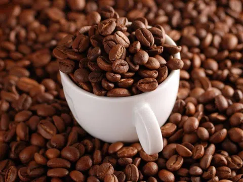 Cà phê rang mộc pha máy - Giá chất tại Miss Coffee