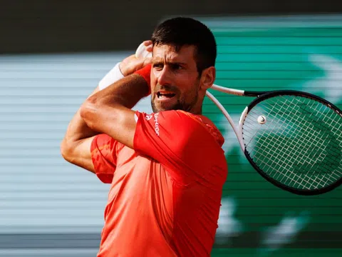 Djokovic 'vào guồng', sẵn sàng chinh chiến tại giải quần vợt Davis Cup 2023