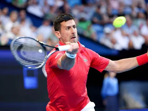 Djokovic phân trần sau thất bại muối mặt tại United Cup