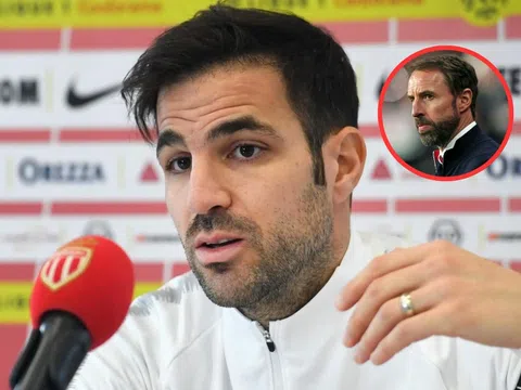 Fabregas muốn đem một sao tuyển Anh vào đội hình Tây Ban Nha Euro 2024