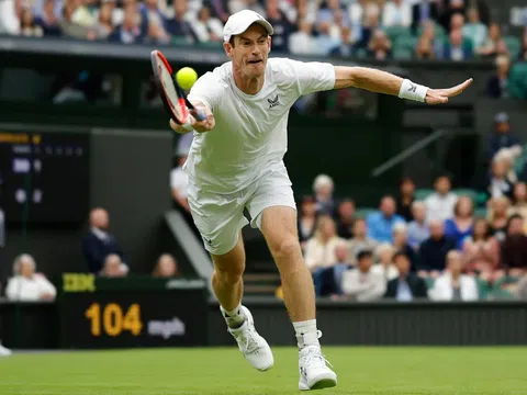 Lịch thi đấu tennis 11/6: Sôi động các giải đấu trước thềm Wimbledon