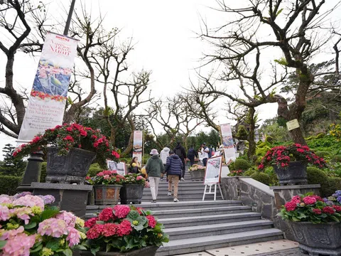 Chiêu đãi vô vàn trải nghiệm, Sun World Ba Na Hills hút khách du xuân