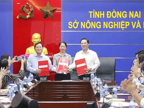 Đồng Nai phấn đấu có trên 225 hợp tác xã nông nghiệp đến năm 2025