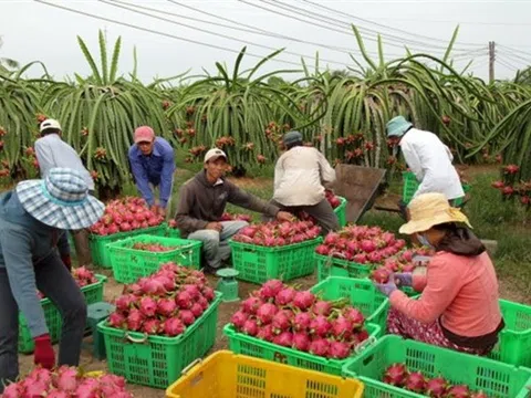 Ngành Nông nghiệp tỉnh Đồng Nai nỗ lực bứt phá để hoàn thành kế hoạch phát triển kinh tế - xã hội 5 năm 2021-2025