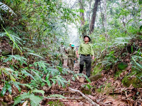 Di Linh chú trọng công tác phòng, chống cháy rừng