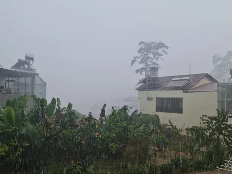 Lâm Đồng có trận mưa lớn sau nhiều tháng nắng nóng kéo dài