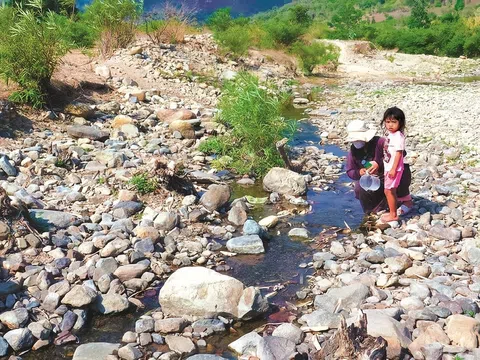 Bình Thuận thiếu nước trầm trọng cho sản xuất nông nghiệp do nắng nóng kéo dài