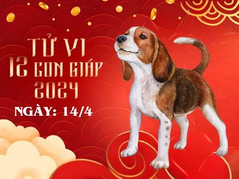 Tử vi 12 con giáp hôm nay ngày 14/4/2024: Tuổi Dậu mâu thuẫn, tuổi Tuất rủi ro, tuổi Thìn cực đỏ