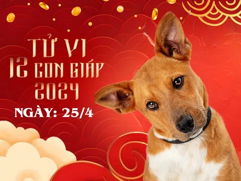 Tử vi 12 con giáp hôm nay ngày 25/4/2024: Tý - Thìn sóng gió, Thân có tin vui bất ngờ