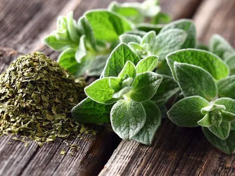 6 lợi ích sức khỏe của lá oregano đã được khoa học chứng minh