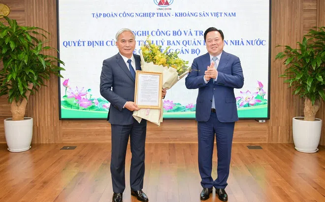 Ông Vũ Anh Tuấn giữ chức vụ Thành viên Hội đồng Thành viên, Tổng Giám đốc Tập đoàn Công nghiệp Than - Khoáng sản Việt Nam.