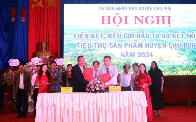 Chư Pưh, Gia Lai: Liên kết, hợp tác đầu tư với tổng vốn đăng ký trên 10.800 tỷ đồng