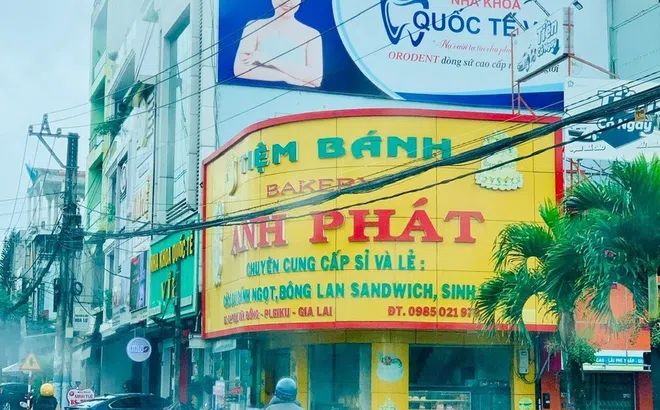 Gia Lai: Phát hiện sai phạm về tài chính hơn 29 tỷ đồng