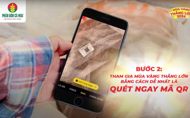 Mùa vàng thắng lớn 2024: Công nghệ toàn diện, niềm vui trọn vẹn