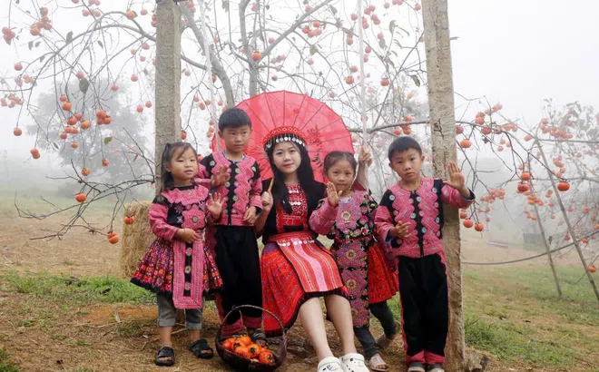 Có một loại trái cây hạnh phúc - Khoe sắc suốt nửa năm