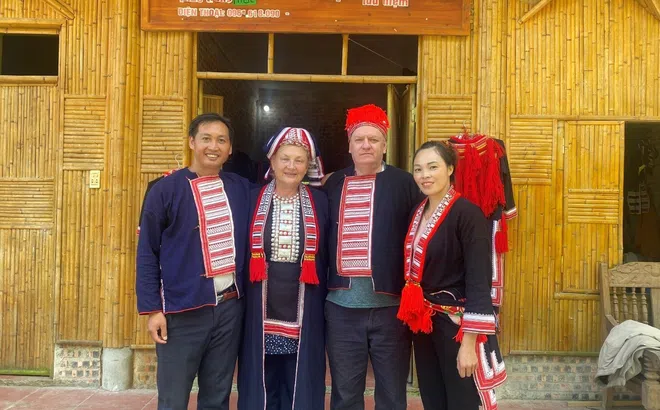 Hà Giang: Du lịch Hoàng Su Phì vươn mình bứt phá
