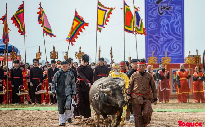 Không tổ chức lễ hội tràn lan gây tốn kém, lãng phí