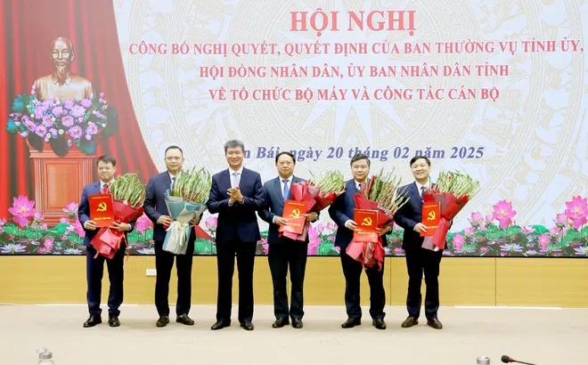 Yên Bái tổ chức hội nghị về công tác cán bộ