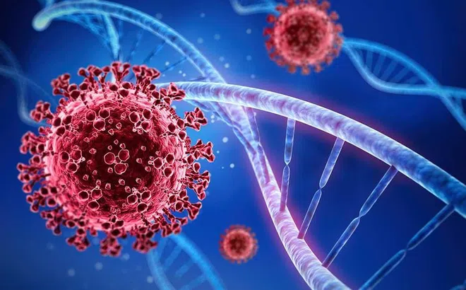 Ca mắc COVID-19 ở Việt Nam tăng mạnh trong ngày Valentine