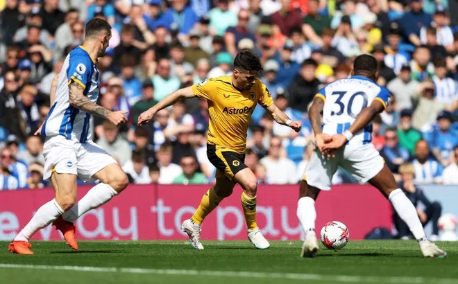 Nhận định, dự đoán Wolves vs Brighton, 21h00 ngày 19/8/2023