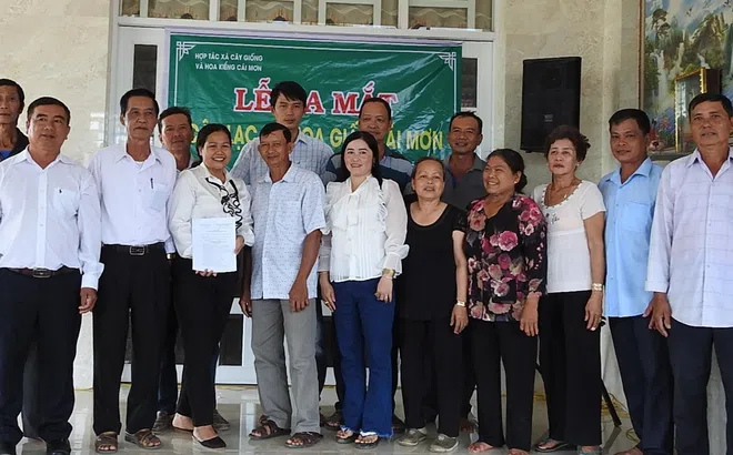 Ra mắt câu lạc bộ hoa giấy Cái Mơn tại Bến Tre