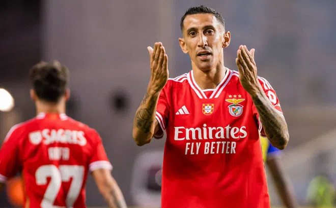 Nhận định, dự đoán Benfica vs Toulouse, 03h00 ngày 16/02/2024