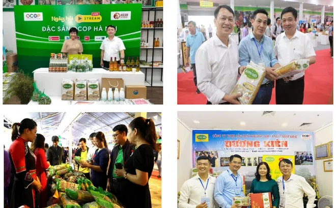 Kinh tế sáng tạo gắn với du lịch trải nghiệm: Động lực mới cho sản phẩm OCOP