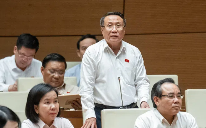Đại biểu Hà Sỹ Đồng: Cần cơ chế đặc thù để triển khai Dự án Điện hạt nhân Ninh Thuận