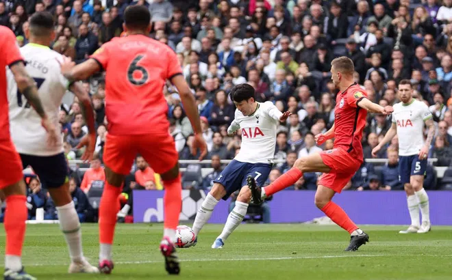Nhận định, dự đoán Brighton vs Tottenham, 02h30 ngày 29/12/2023