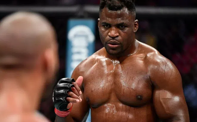 Francis Ngannou chuẩn bị lên sàn với Anthony Joshua vào tháng 3?